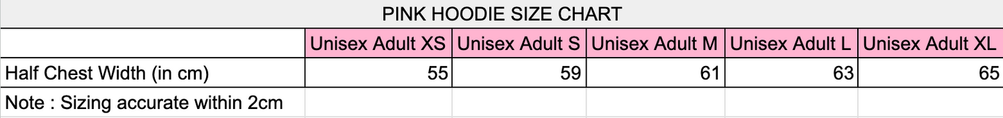 2026 Schools Spectacular Pullover Hoodie (Grey)