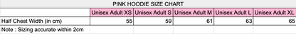2026 Schools Spectacular Pullover Hoodie (Grey)